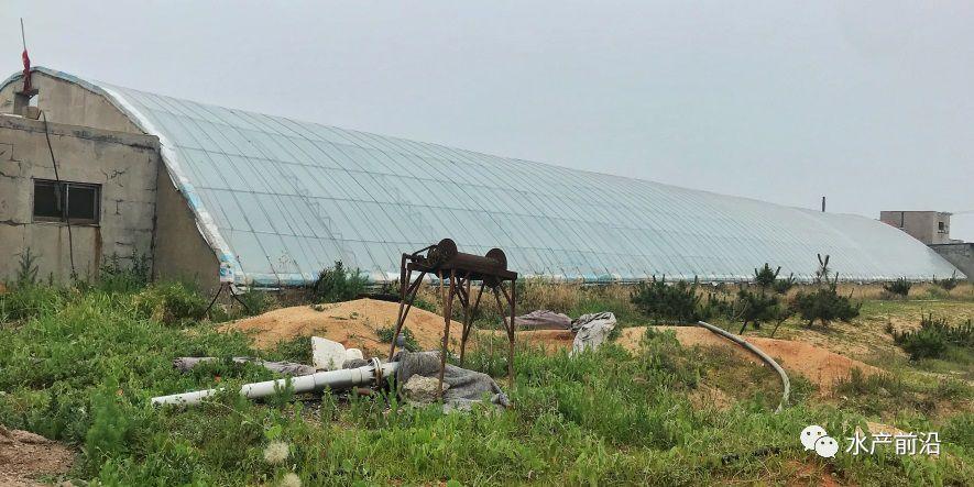 出蝦27斤/立方,連續三造成功后,工廠化養蝦在他看來并不難! 出蝦27斤/立方,連續三造成功后,工廠化養蝦在他看來并不難!